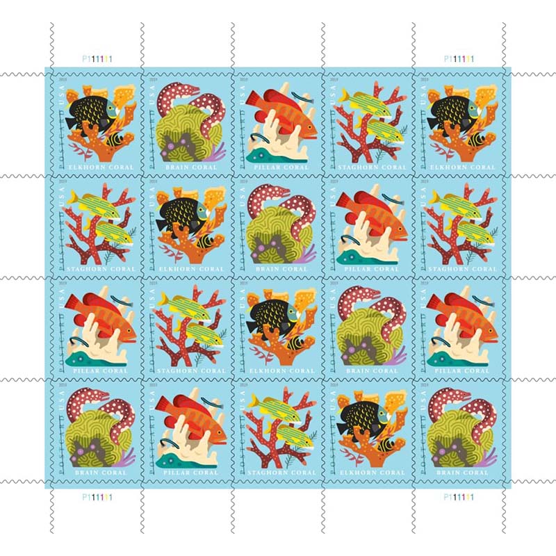 coral reef stamp with custom packaging box